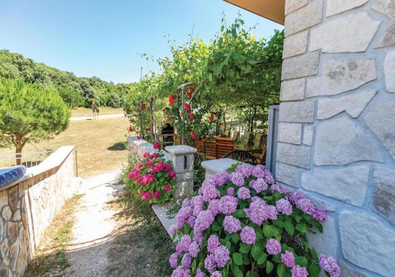 Ferienwohnung Adria Vrsar Exterior foto
