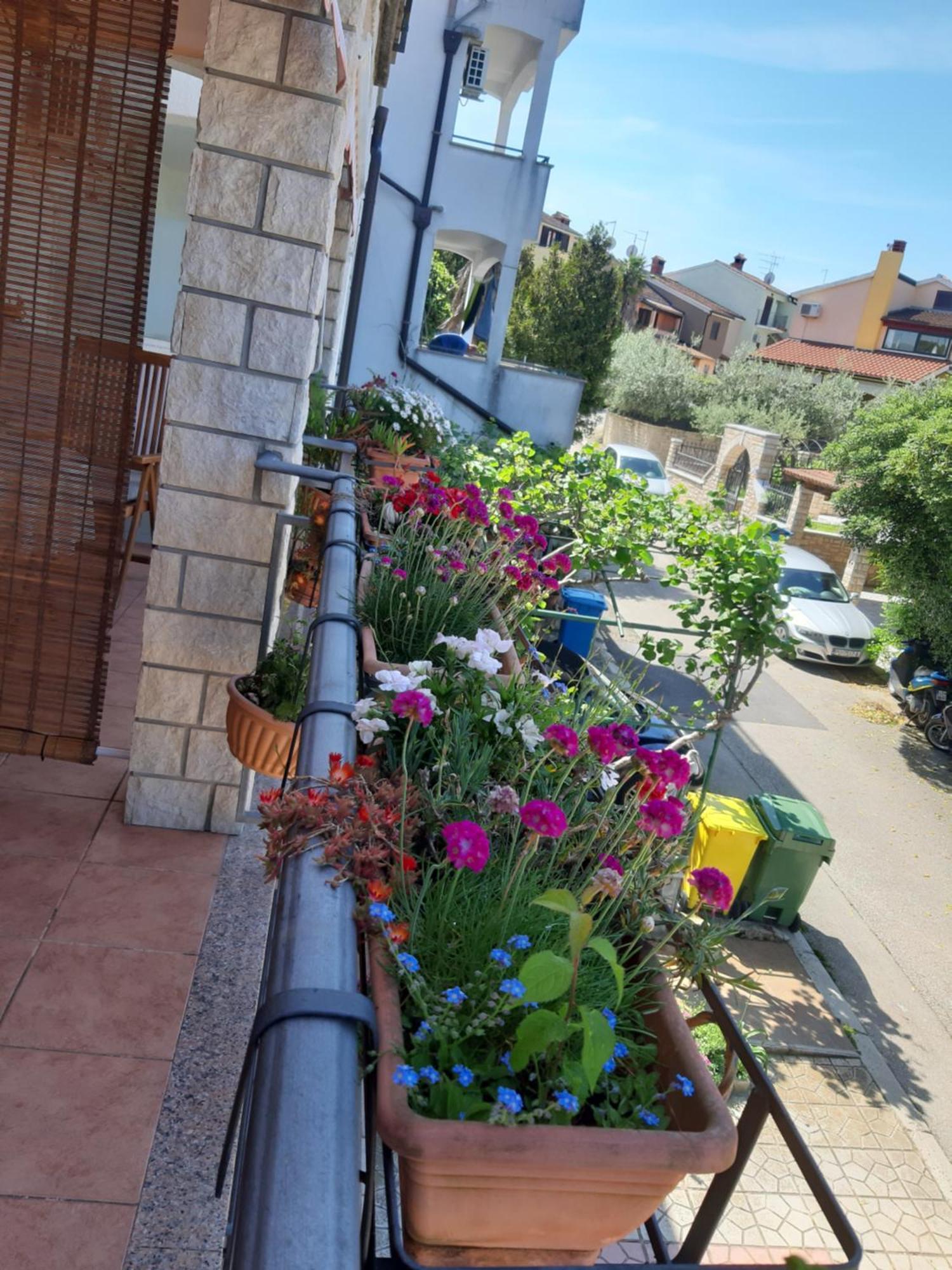 Ferienwohnung Adria Vrsar Exterior foto