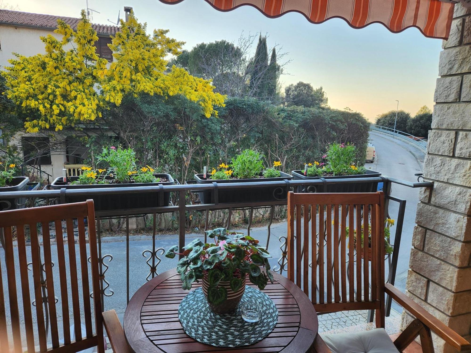 Ferienwohnung Adria Vrsar Exterior foto